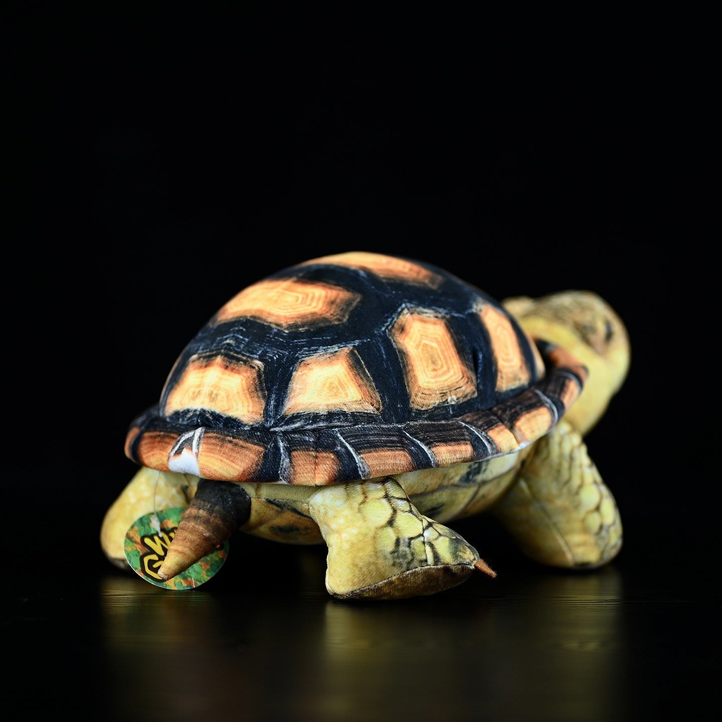 Simulated Land Turtle Doll Cute Turtle Doll Plush Toy