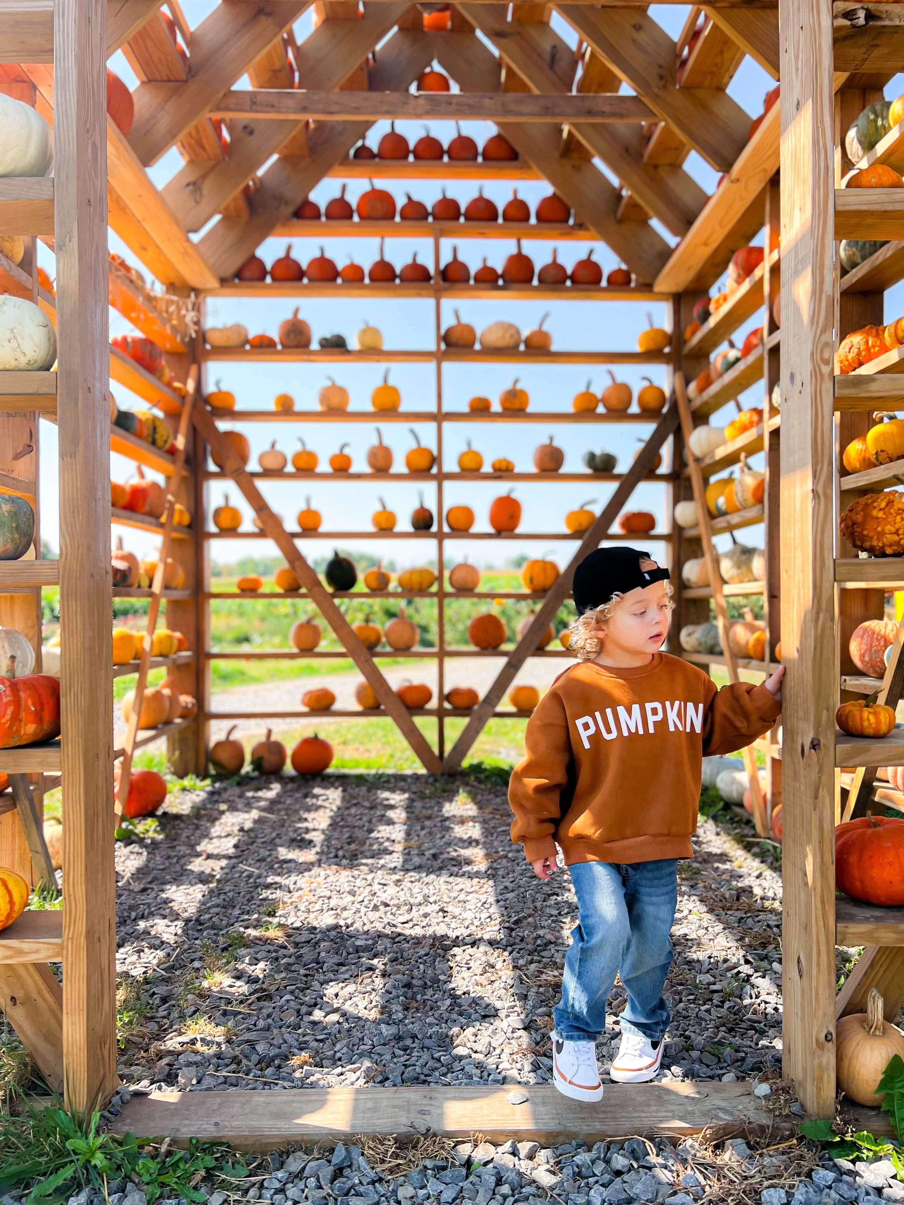 Pumpkin Crewneck Sweatshirt