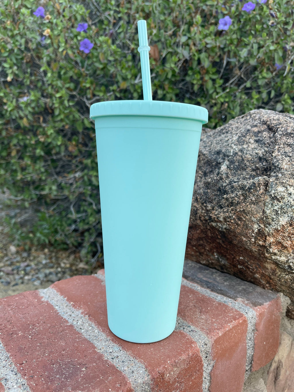 Pastel Cup Blank Cups Tumblers, 24 oz Matte Tumblers, Double Wall Acrylic Tumbler With Straw and Screw Lid BPA Free